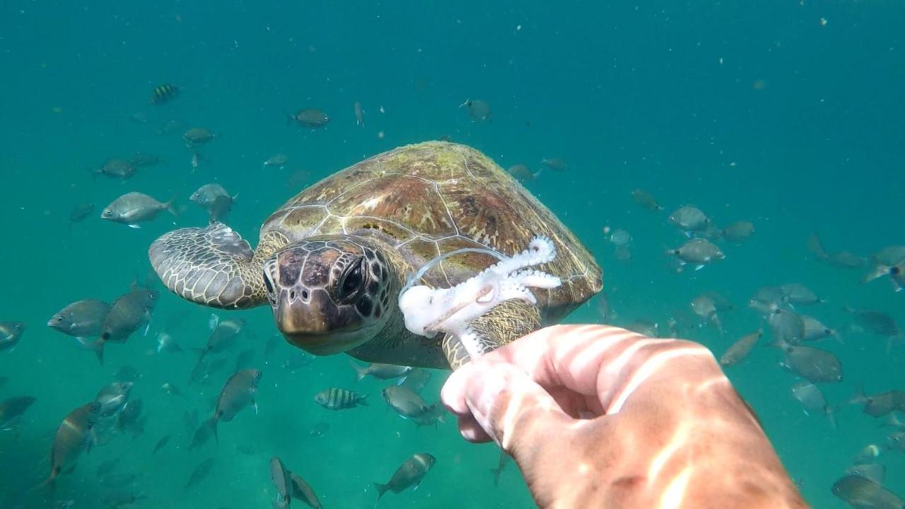 Pousada Conves - Ilha Grande Praia de Araçatiba エクステリア 写真